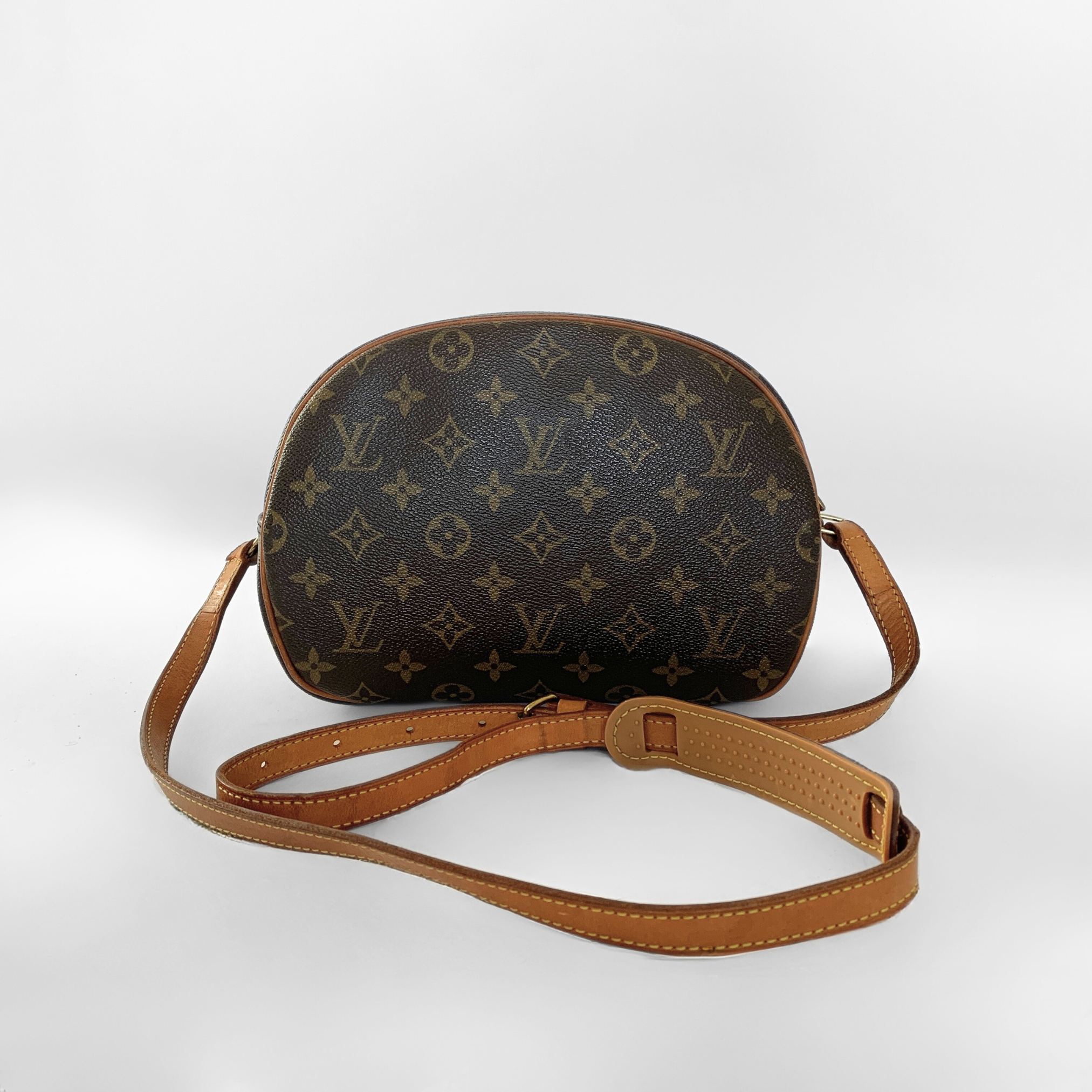 Louis Vuitton Louis Vuitton Blois Toile Monogram Canvas - Crossbody bags - Etoile Luxury Vintage