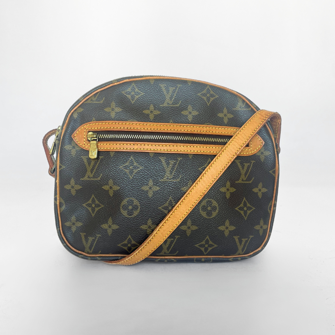 Louis Vuitton Louis Vuitton Senlis Monogram Canvas - Crossbody bags - Etoile Luxury Vintage