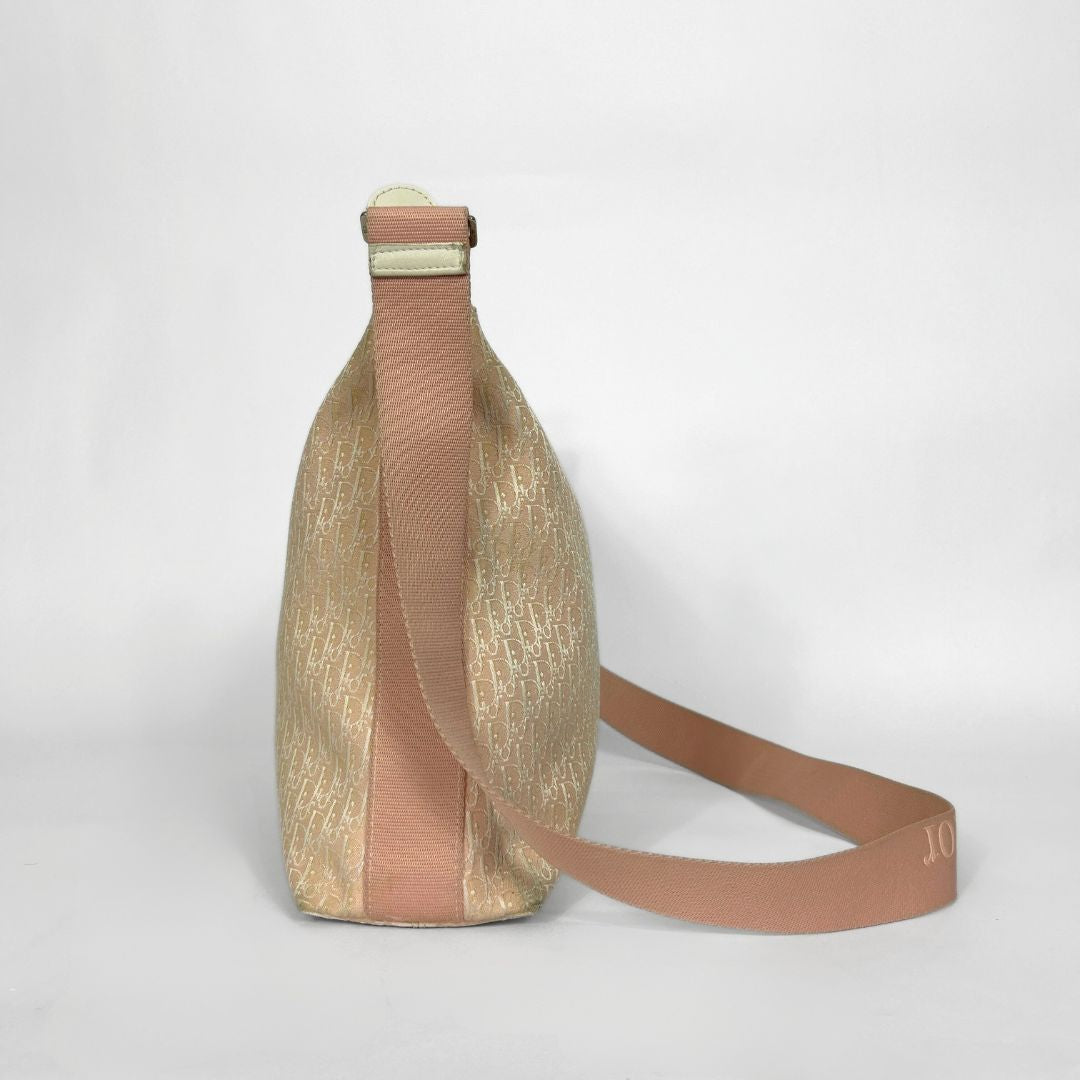 Dior Dior Crossbody Bag Oblique Canvas - Crossbody bags - Etoile Luxury Vintage