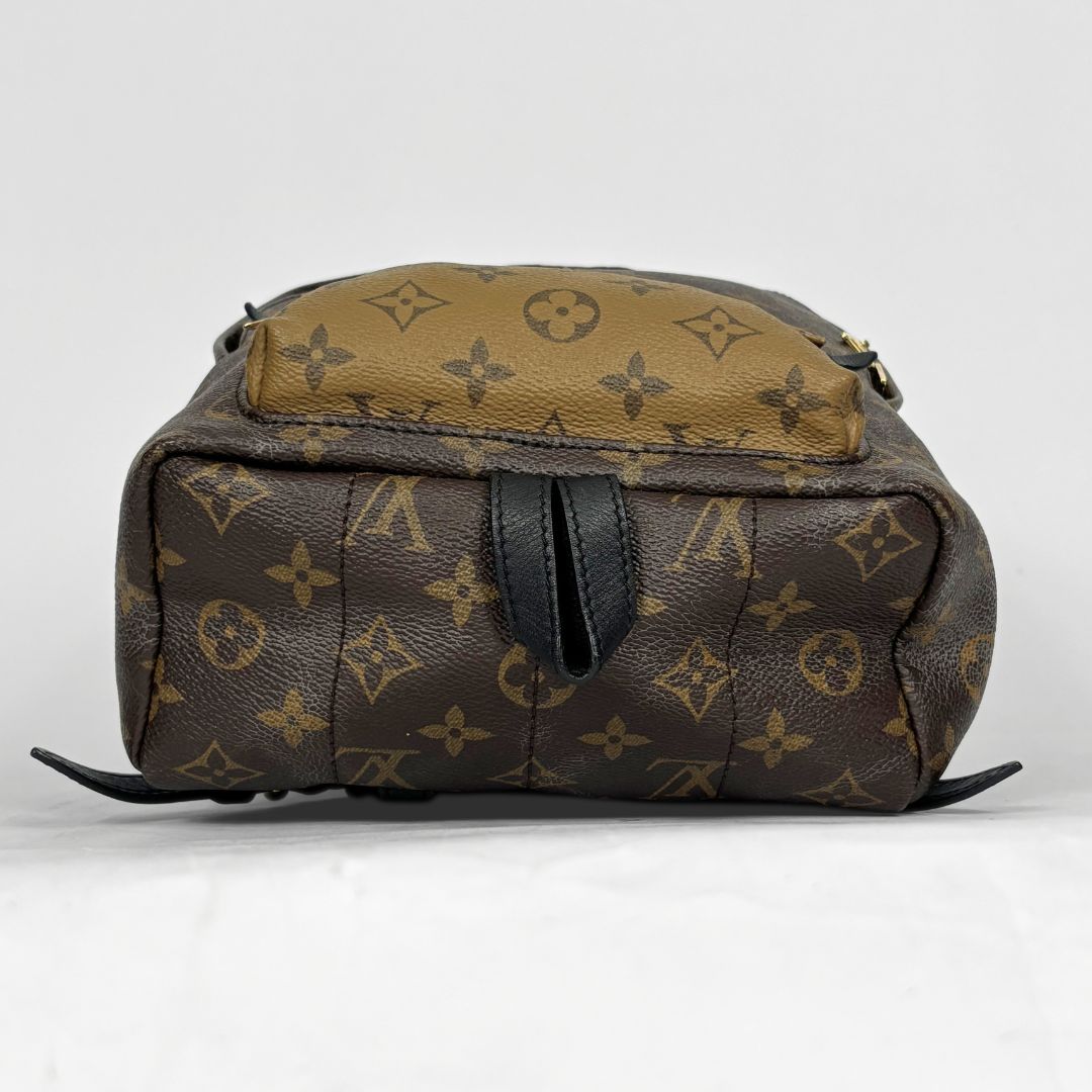 Louis Vuitton Plam Springs