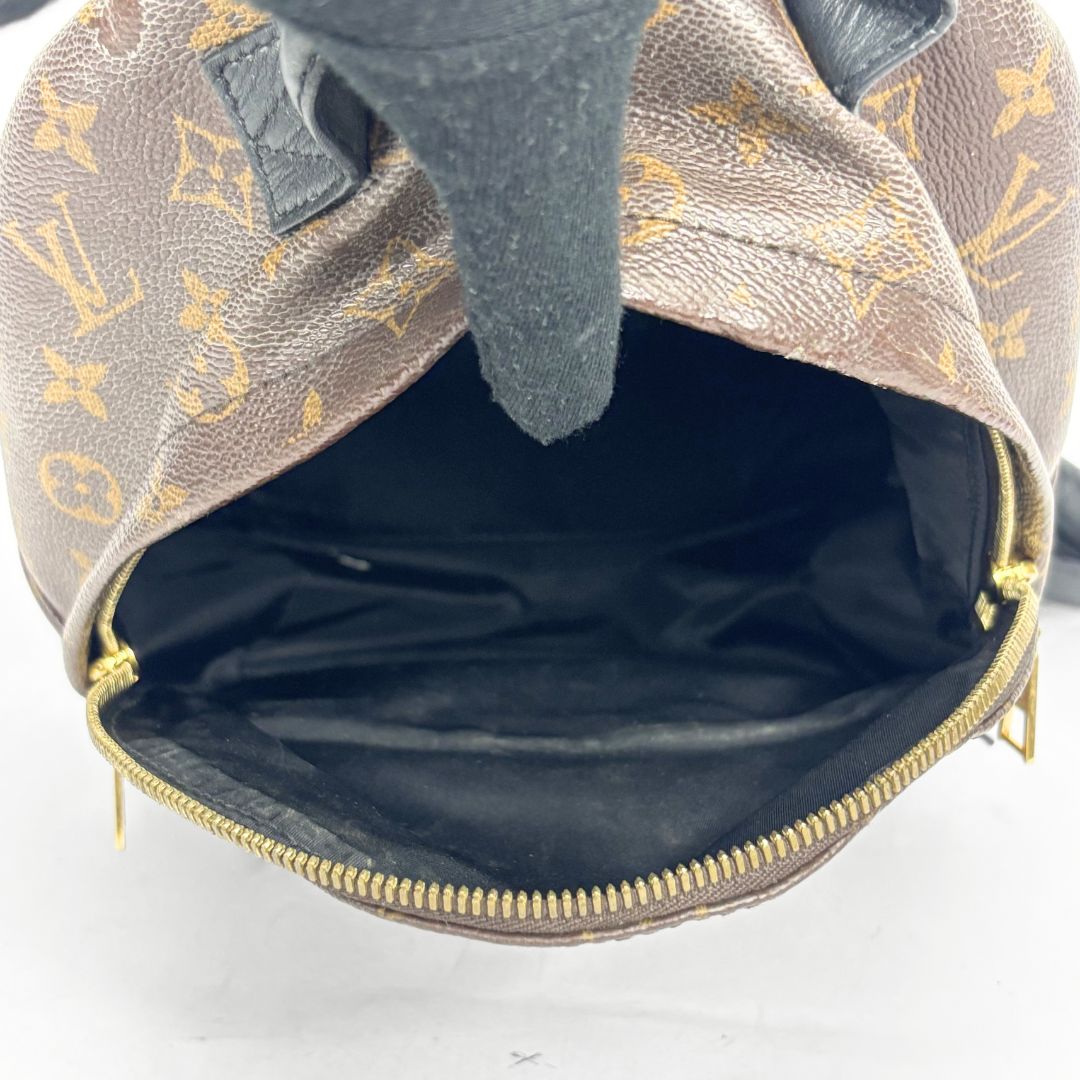 Louis Vuitton Plam Springs