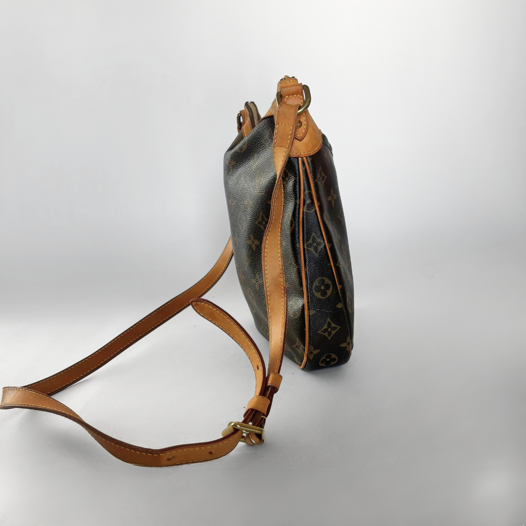 Louis Vuitton Louis Vuitton Odeon PM Monogram Canvas - Crossbody bags - Etoile Luxury Vintage