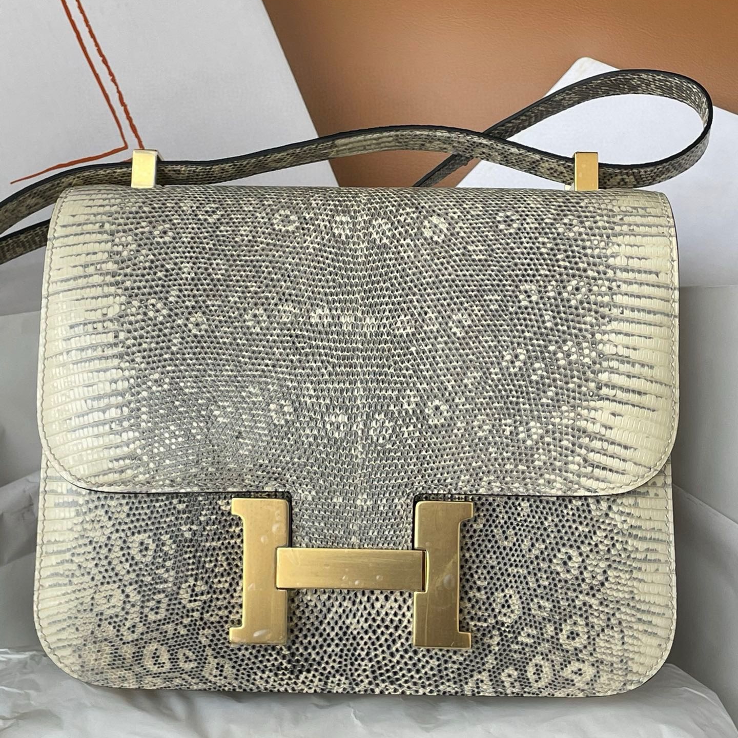 Hermes Constance 24 Handmade Bag in Ombre Natural Lizard Skin 