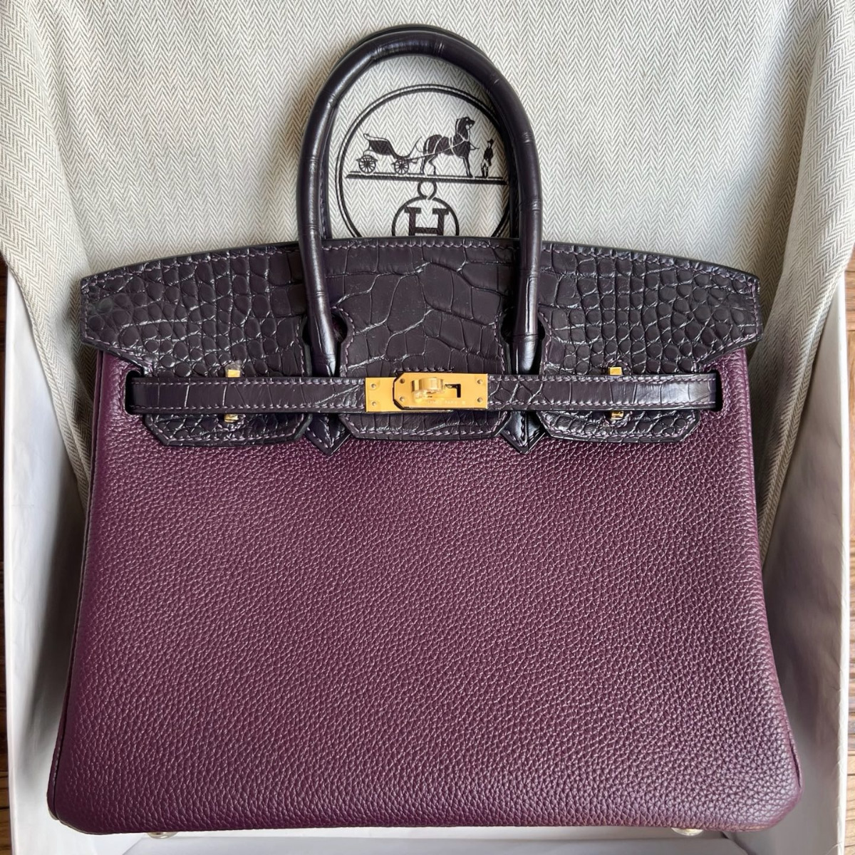 Hermes Touch Birkin 25 Bag in Raisin Togo and Matte Alligator Leather